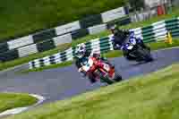 cadwell-no-limits-trackday;cadwell-park;cadwell-park-photographs;cadwell-trackday-photographs;enduro-digital-images;event-digital-images;eventdigitalimages;no-limits-trackdays;peter-wileman-photography;racing-digital-images;trackday-digital-images;trackday-photos